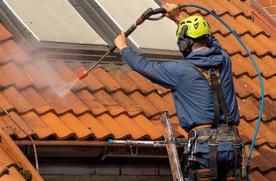 Démoussage et hydrofuge de toiture à Pioggiola